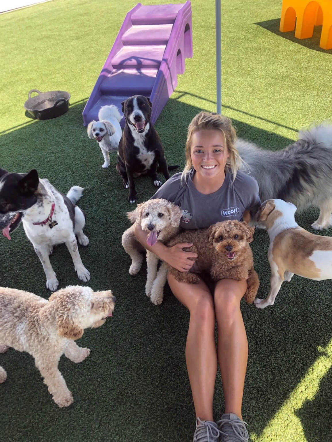 Doggie Daycare WOOF Dog Care Center